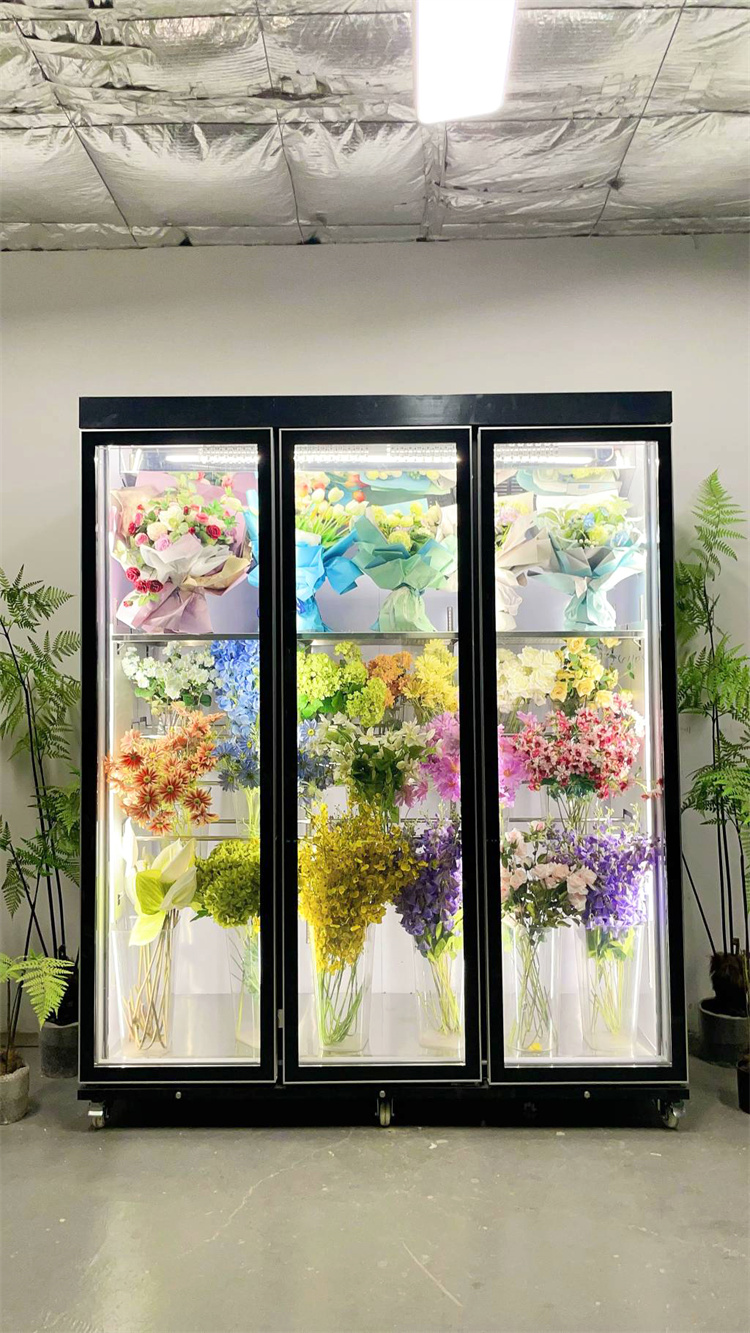 180 Taitan + Pro Leading Model