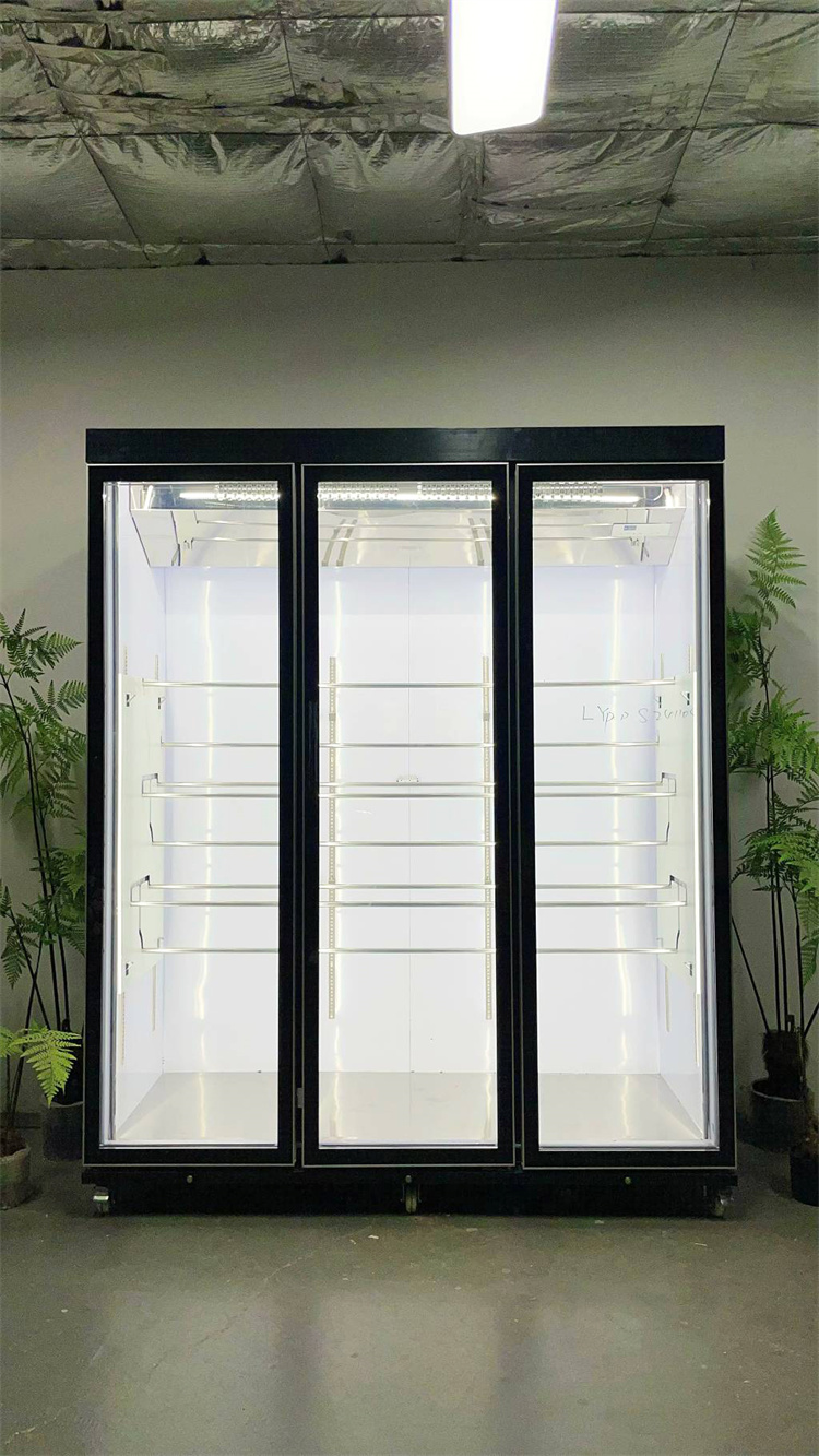 180 Taitan + Pro Leading Model