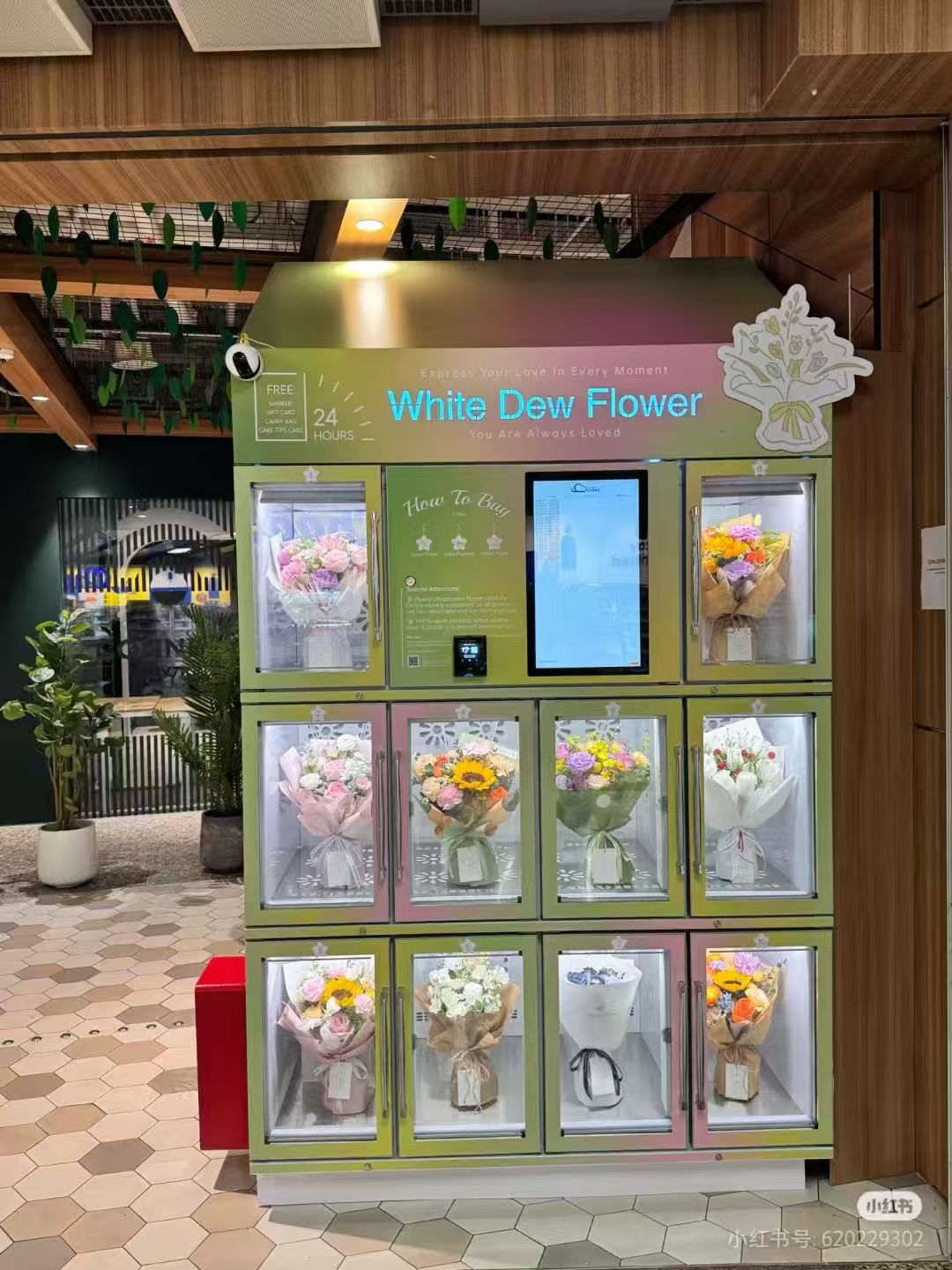 Singapore Placement Case