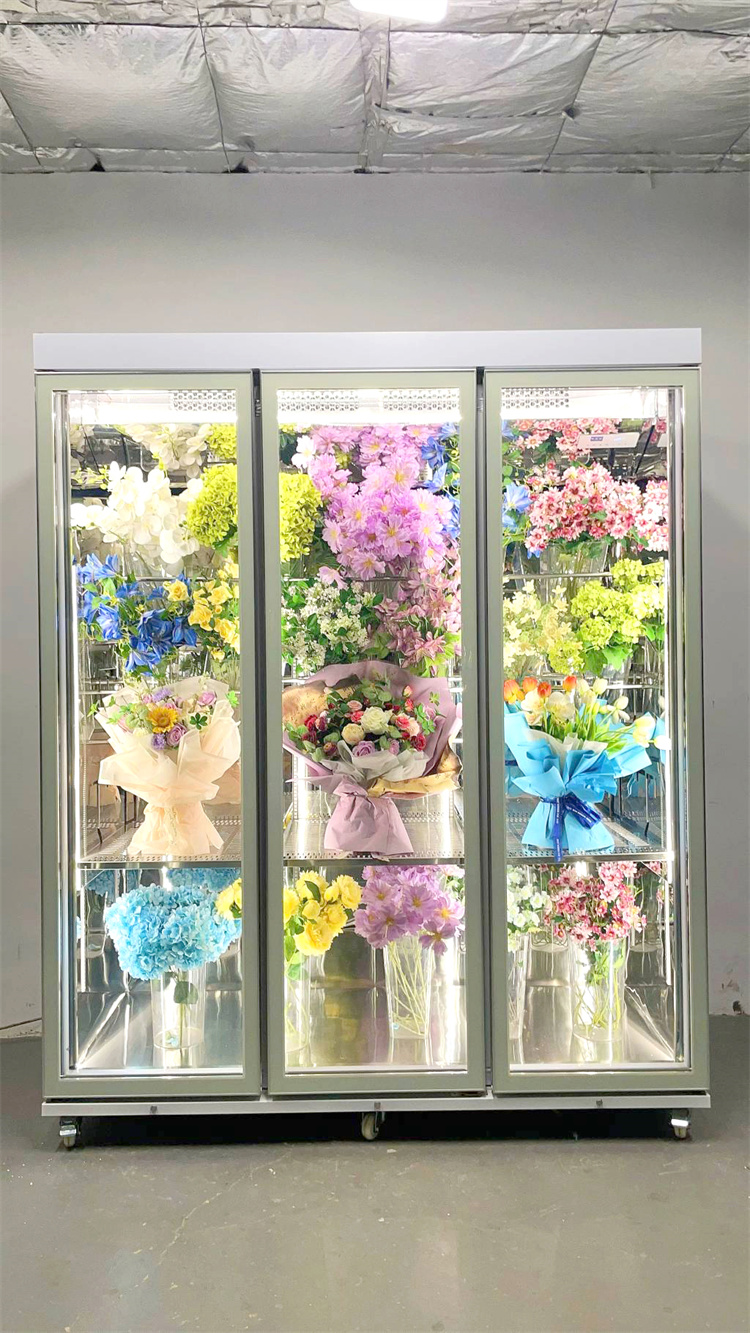 180 Taitan + Pro All-Round Model