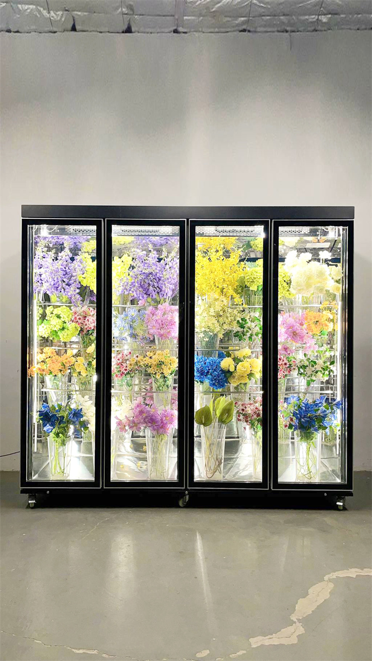 240 Taitan + Pro All-Round Model