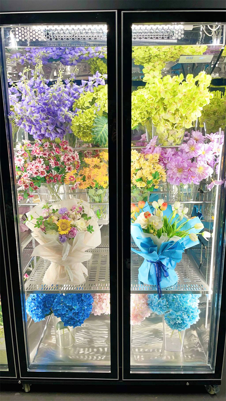 240 Taitan + Pro All-Round Model