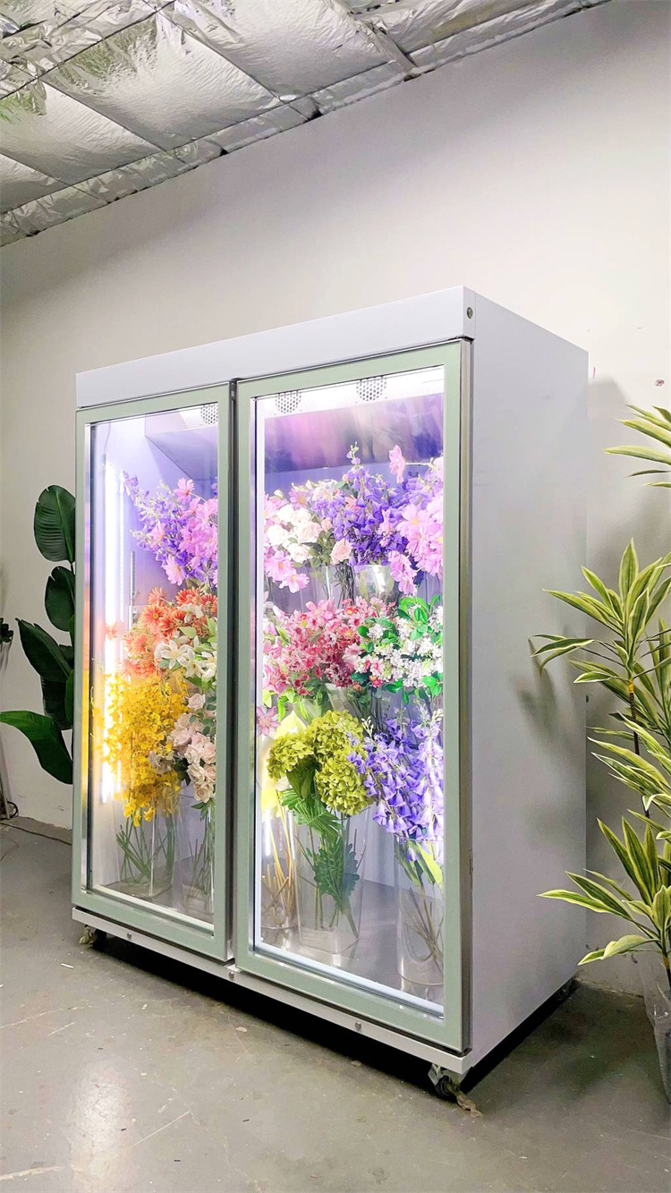 150 Taitan + Pro Leading Model