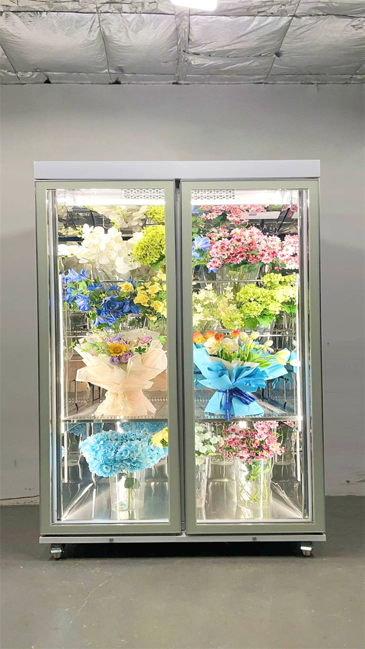 150 Taitan + Pro All-Round Model