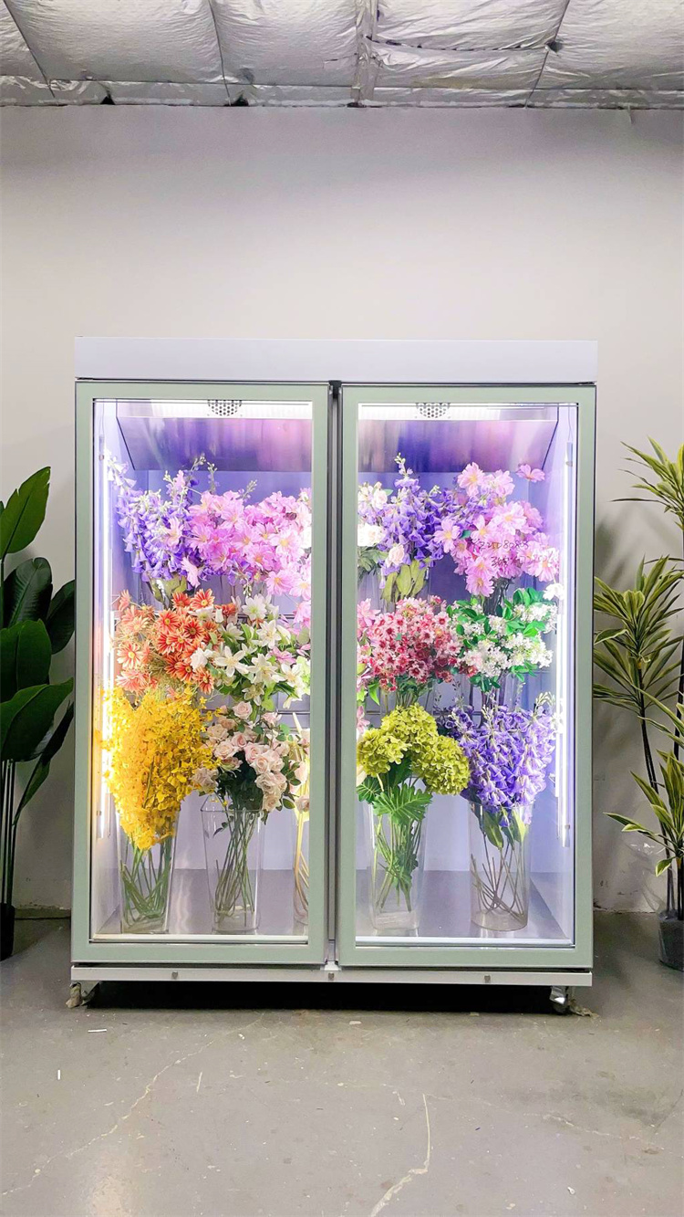 150 Taitan + Pro Leading Model