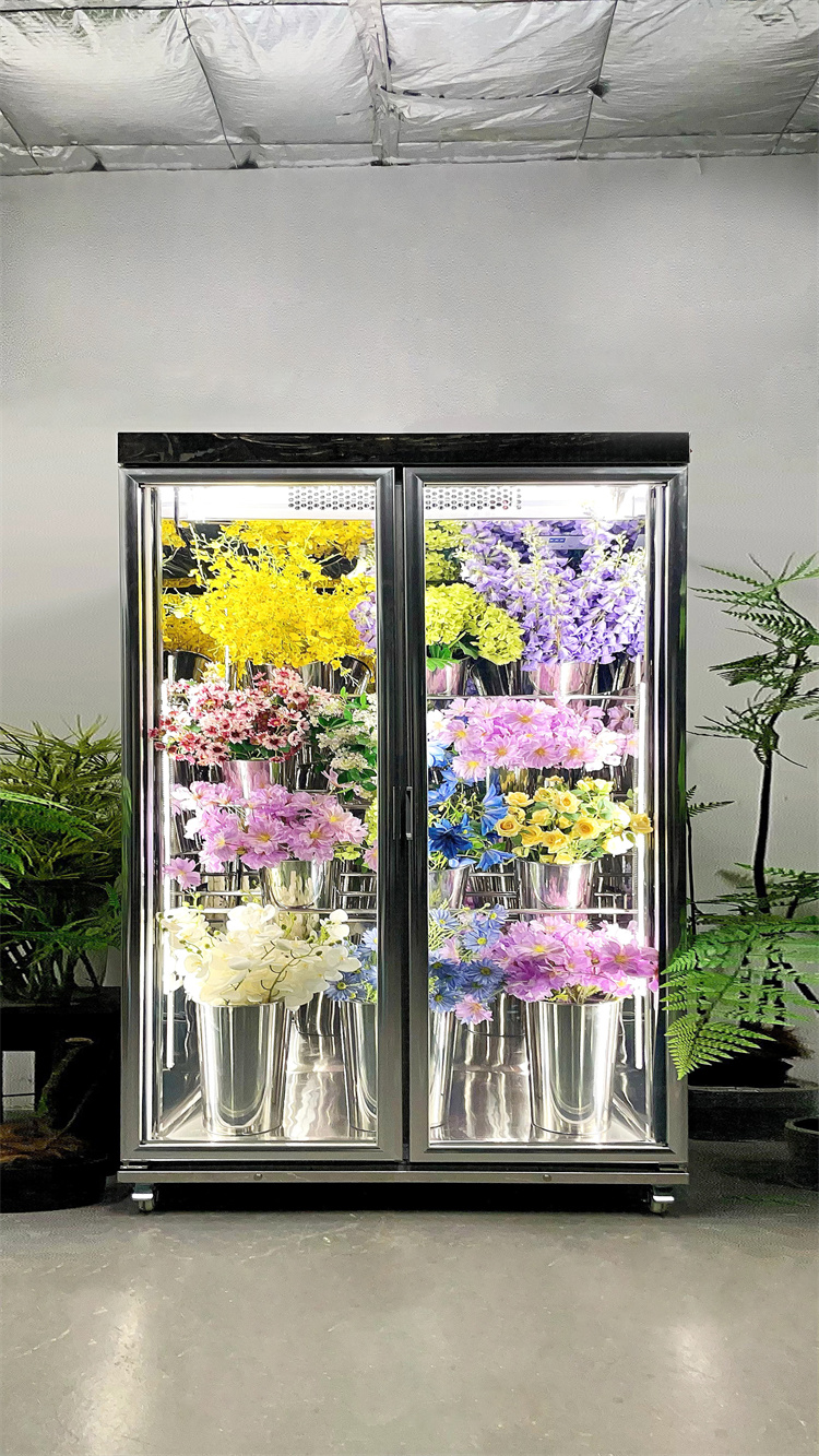 150 Taitan + Pro Luxury Model