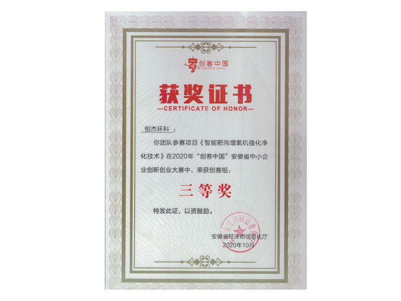 2020年安徽省经信厅证书