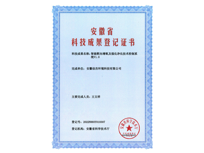 2022N993Y010307-智能靶向增氧及强化净化技术控制系统V1