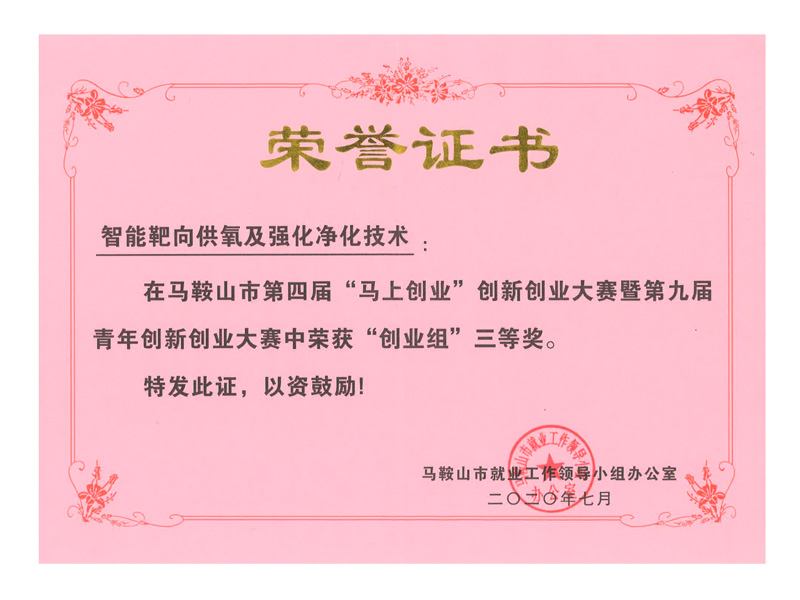 第九届马鞍山青年创业大赛