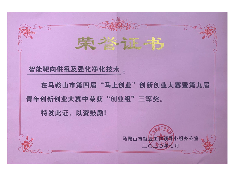 马鞍山市第九届创业大赛-三等奖