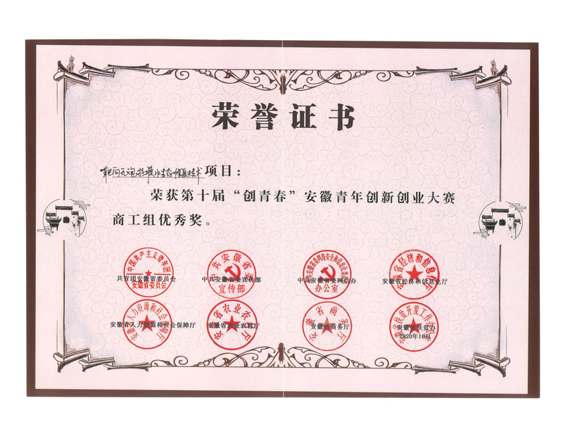 第十届创青春安徽赛优秀奖