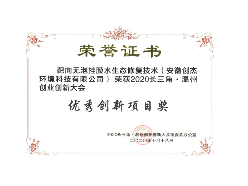 长三角双创大会优秀奖