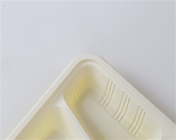 一次性两格餐盒