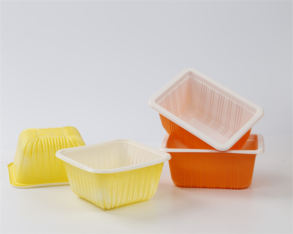 一次性打包盒-2