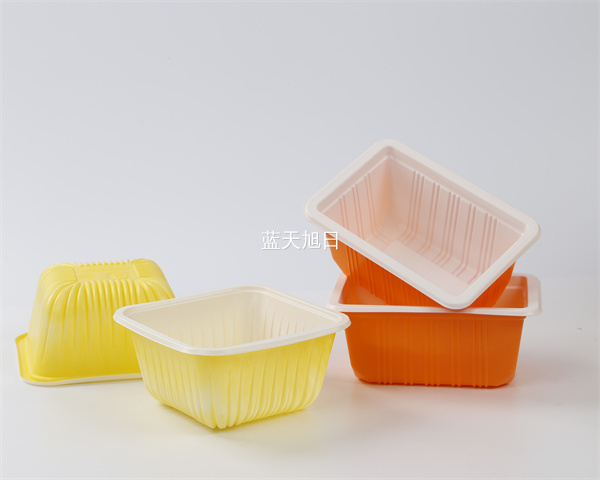 一次性航空饭菜盒