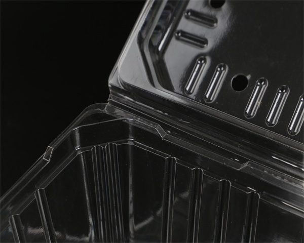 一次性蔬菜打包盒