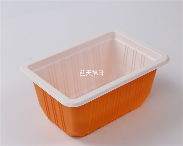 一次性航空饭菜盒