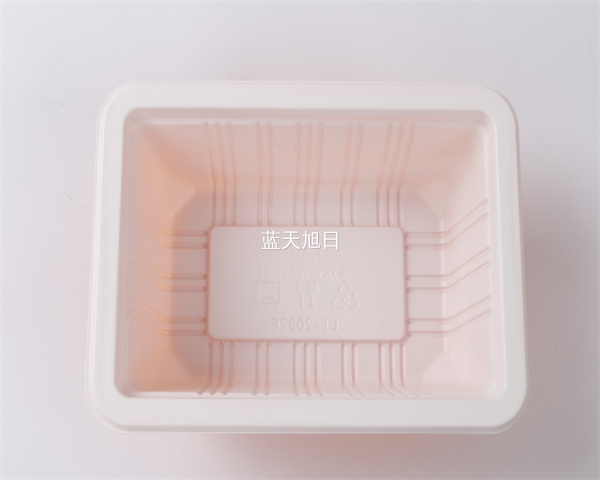 一次性航空饭菜盒