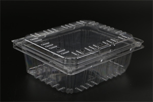 一次性蔬菜打包盒-22