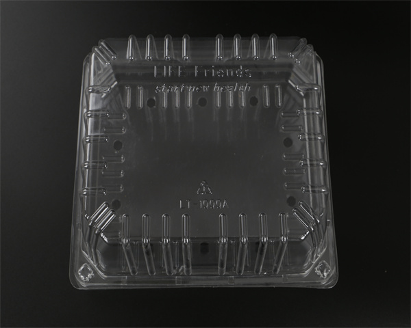 一次性蔬菜打包盒