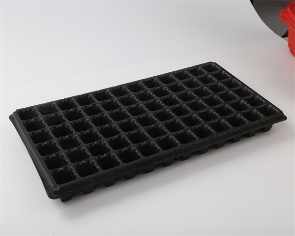 128孔种植育苗盘