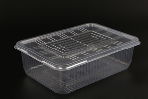 一次性蔬菜打包盒-11