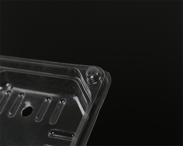 一次性蔬菜打包盒