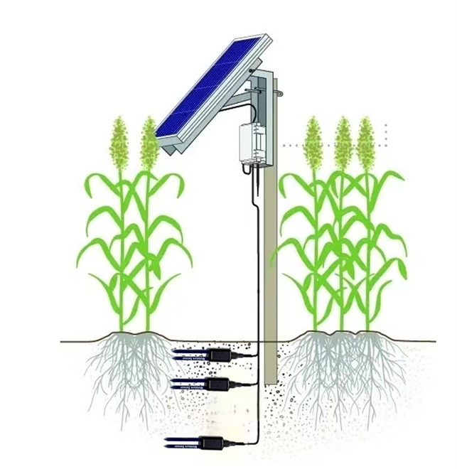 EC-50土壤水分监测系统