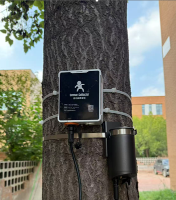 RN100L径向生长自动观测仪