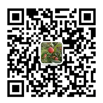 关注微信公众号