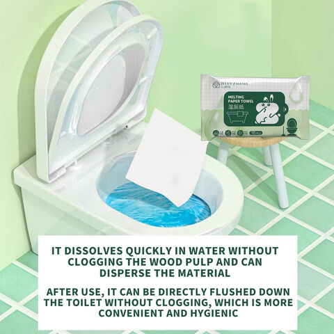 Custom Organic Portable Wet Tissue Feminine Wet Wipe for Sensitive Skin Biodegradable Adult Flushable Wet Wipes