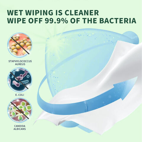 Custom Organic Portable Wet Tissue Feminine Wet Wipe for Sensitive Skin Biodegradable Adult Flushable Wet Wipes