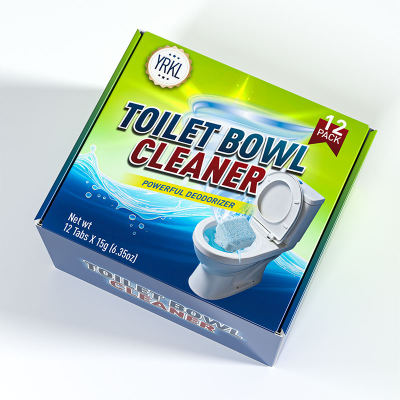 Toilet Cleaning