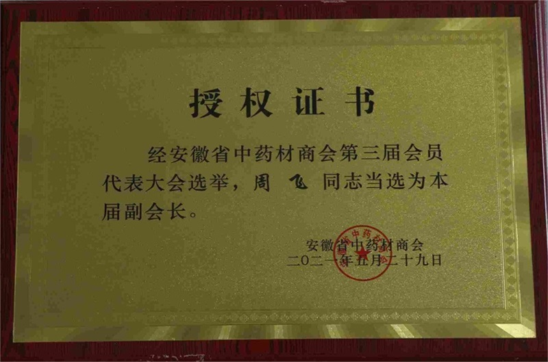 我司总经理周飞先生被选举担任 中药材商会 副会长 一职