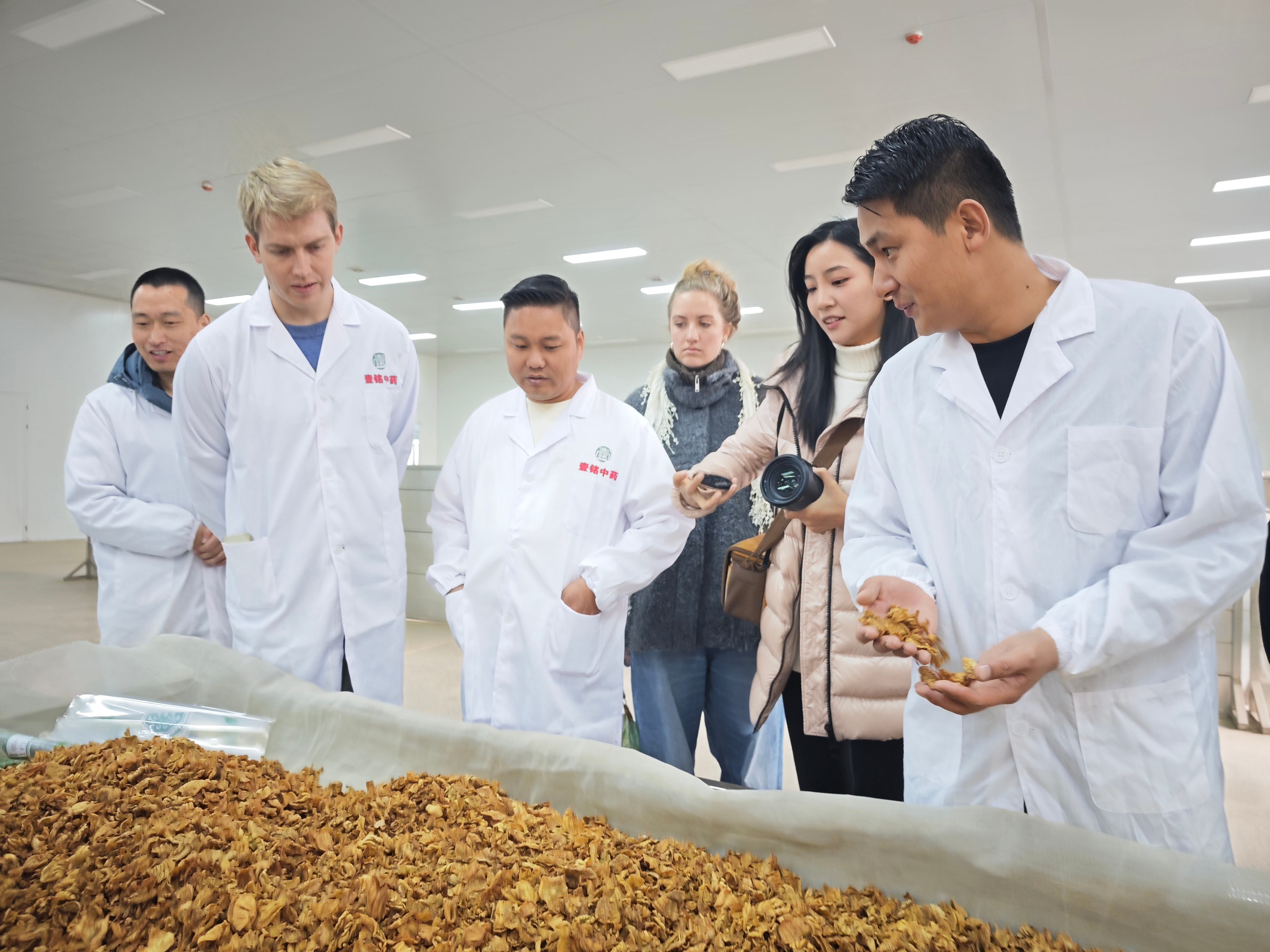 dbd31a8d33c261aa59047d58b0913d06