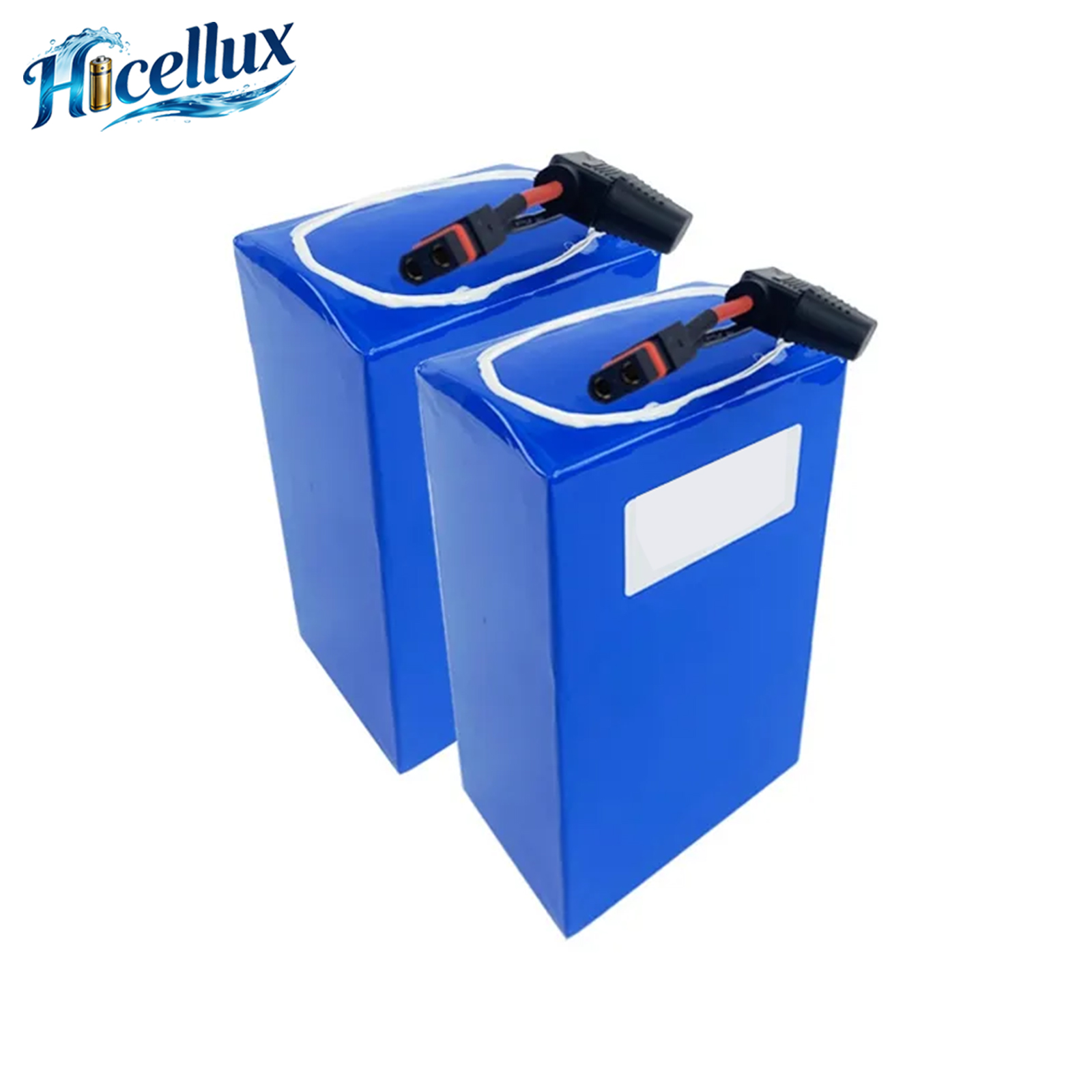 High Performance OEM Battery Pack for Bus Trucks Golf Carts Forklift