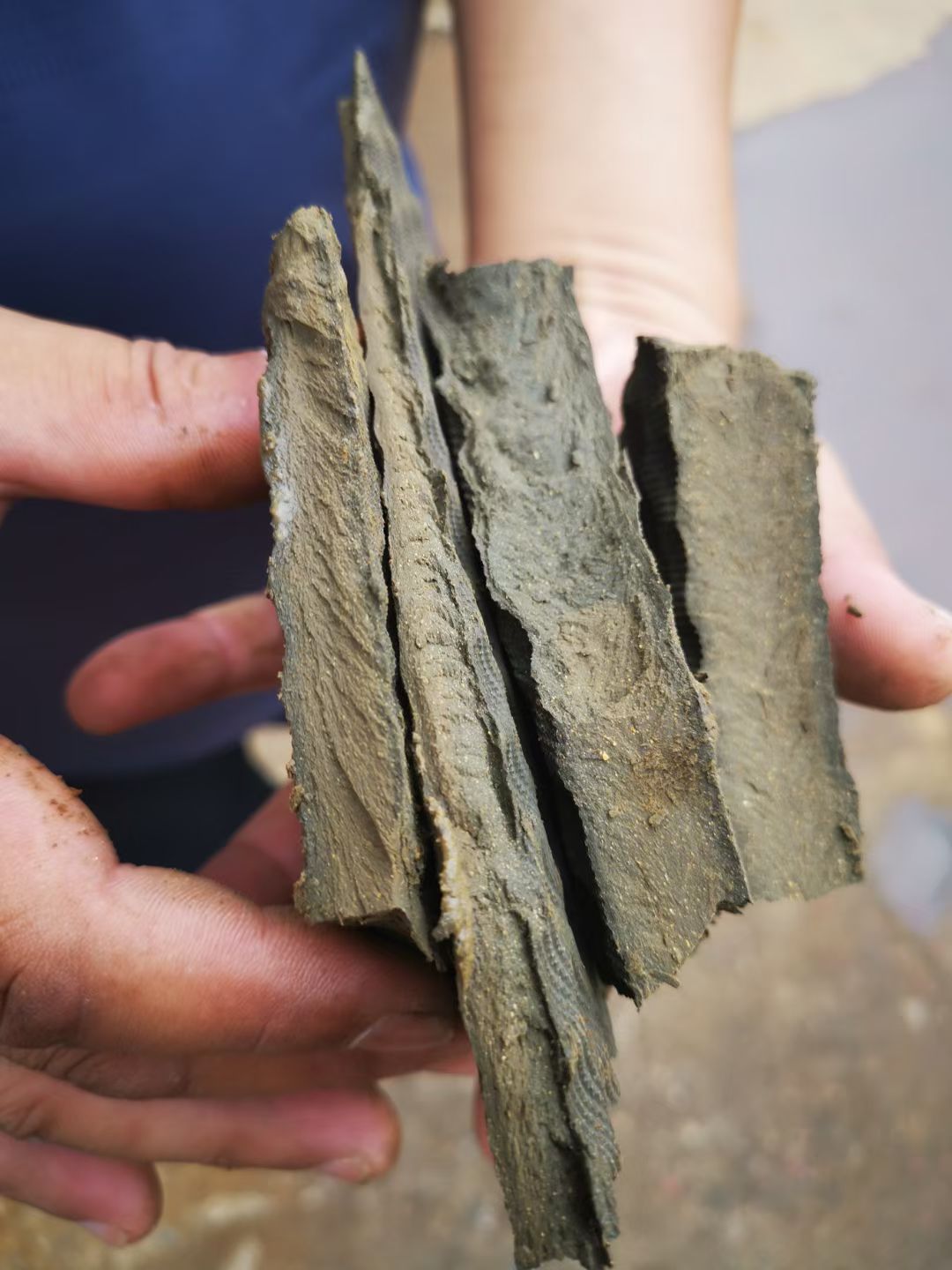 微信图片_20251227093209_104_548