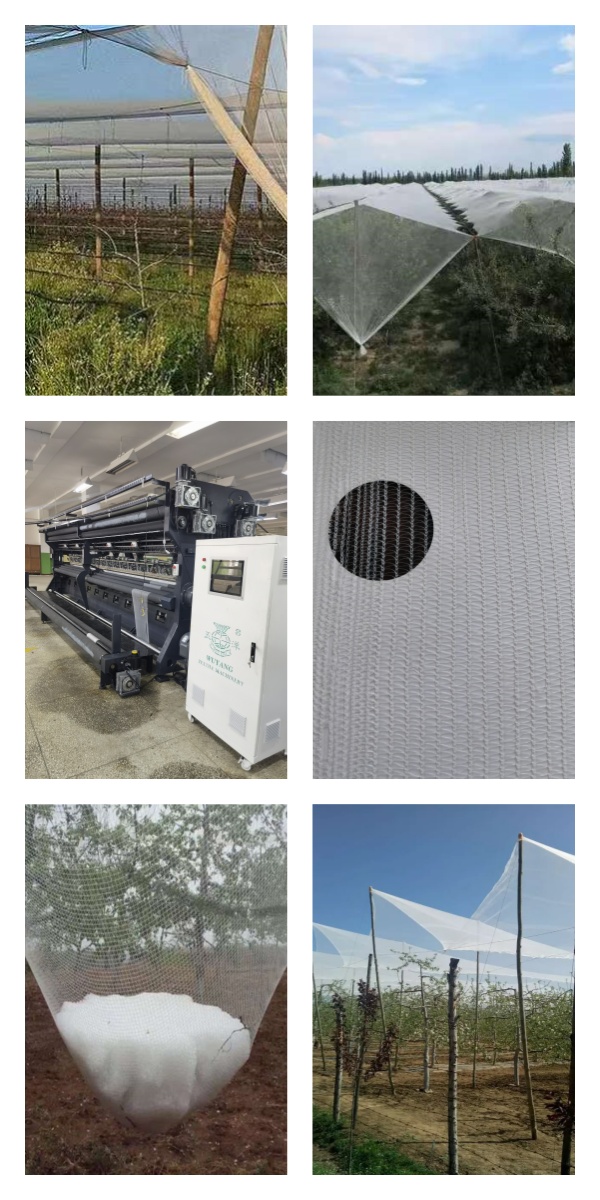 20250729163543_85171