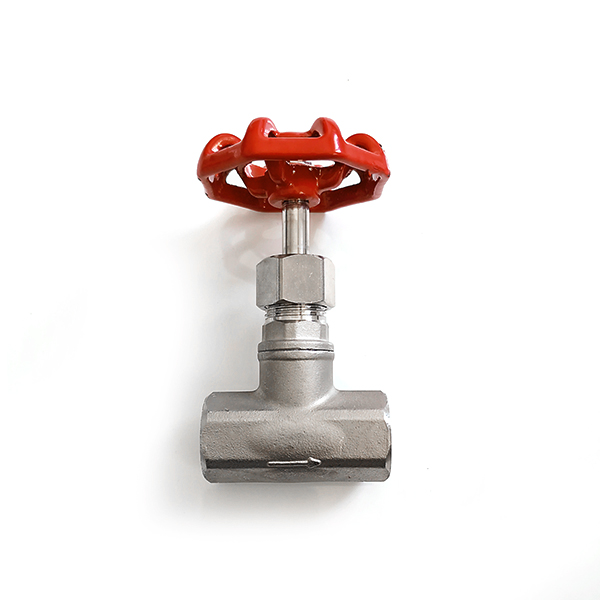 Globe Valve
