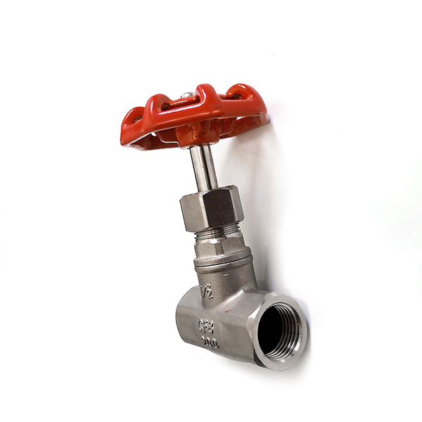 Globe Valve