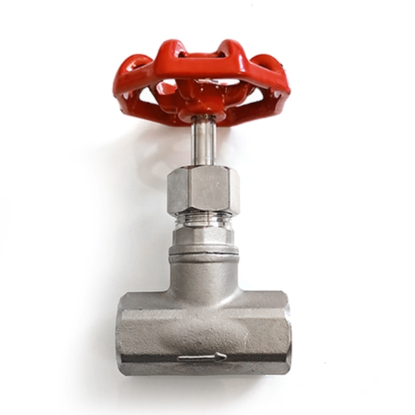 Globe Valve
