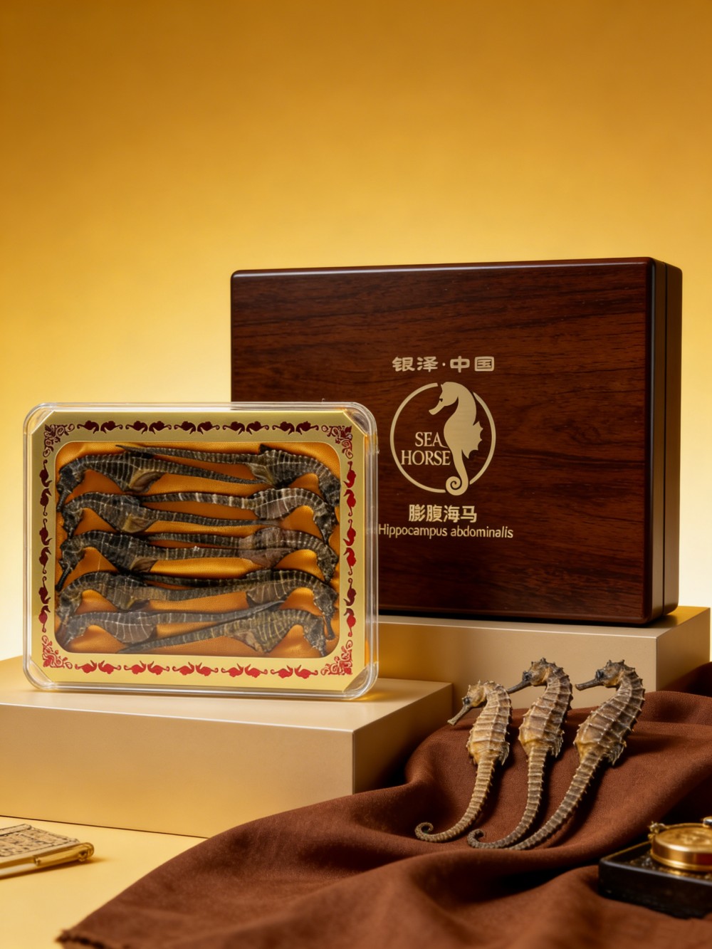 膨腹海马干品​