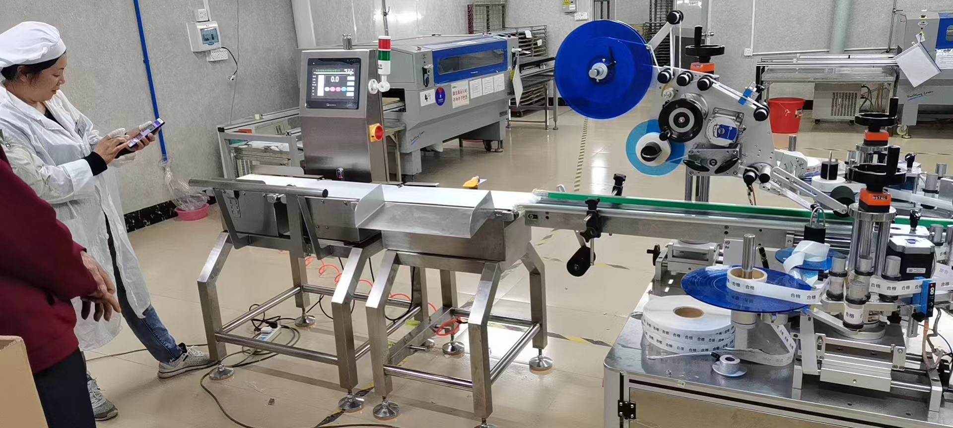 称重机与贴标机 (2)