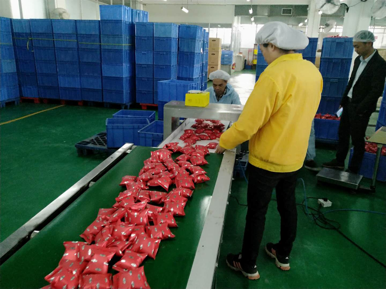 铝箔零食-广东趣园食品 SA-503专用金属检测机