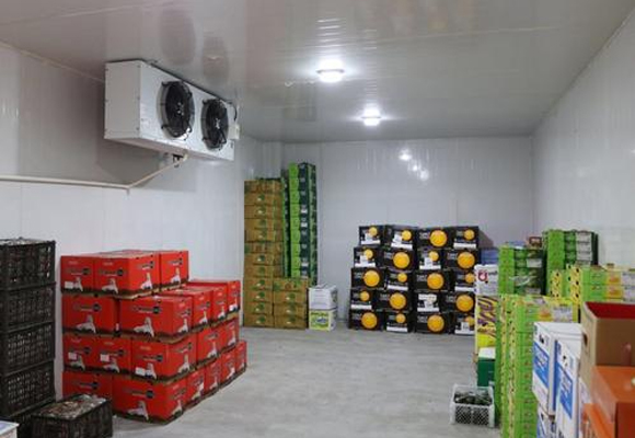 嘉兴蔬菜气调库安装