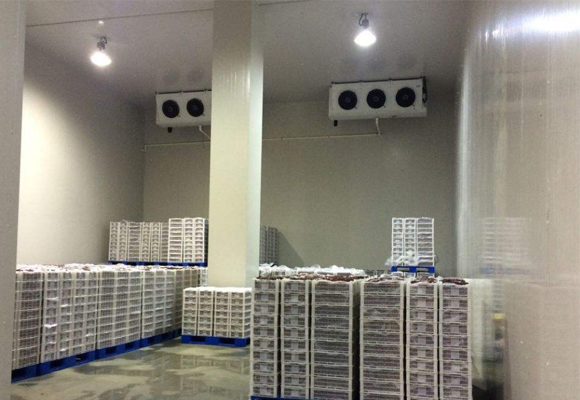 水果气调库安装工程