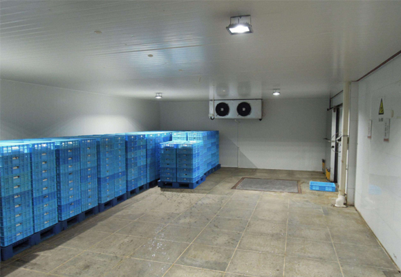 嘉兴冷藏库安装