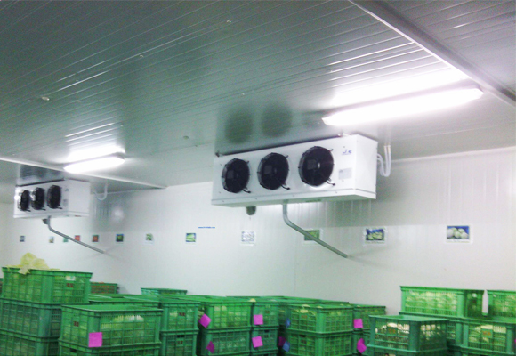 嘉兴水果气调库安装设计