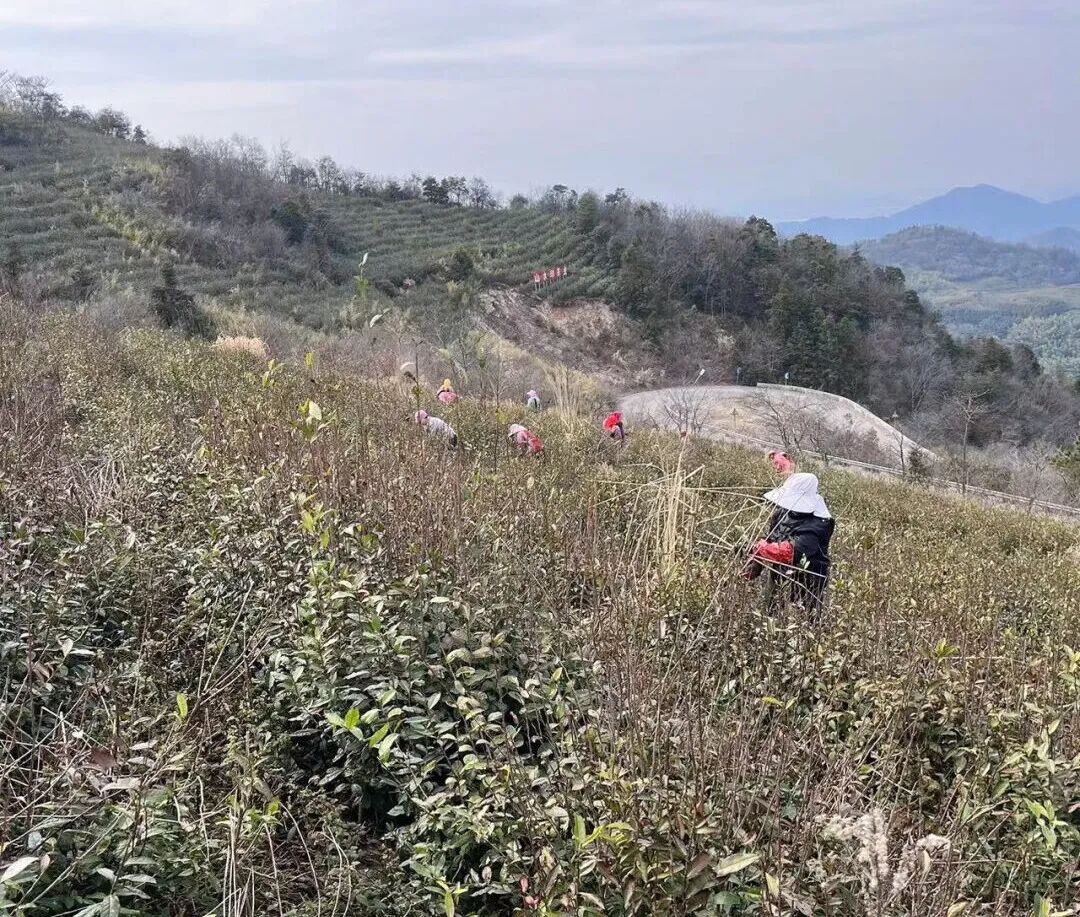 640 (3)