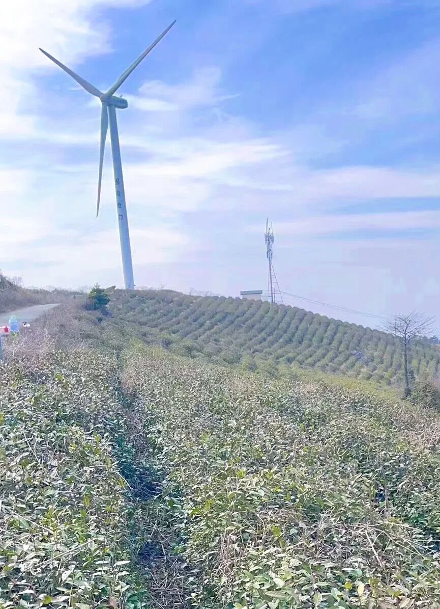 640 (5)